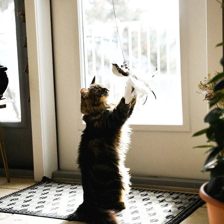 CatCatch™ | Houd je Kat Actief en je Meubels Heel
