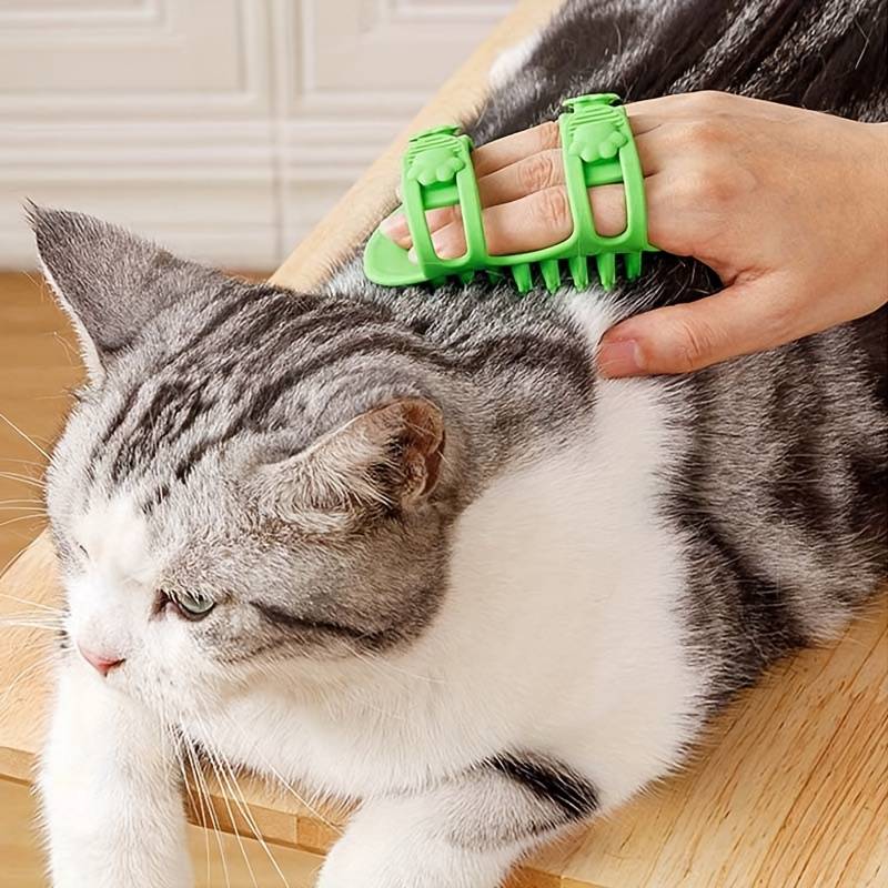 BlissPaw™ | Een zachte verwennerij voor je kat