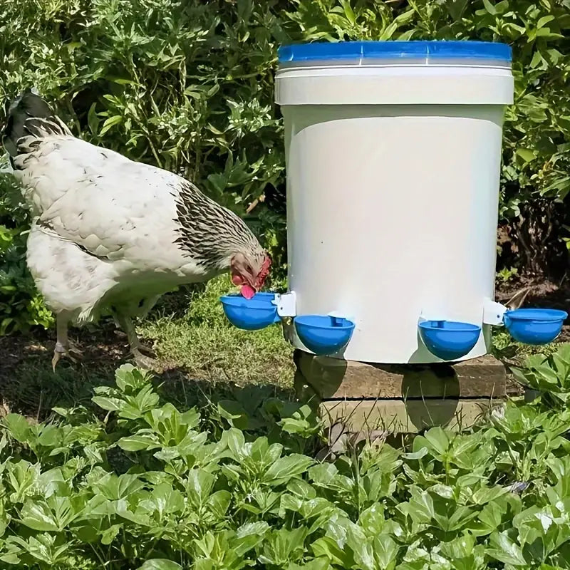 AquaHen™ | Altijd Vers Voor Je Kippen
