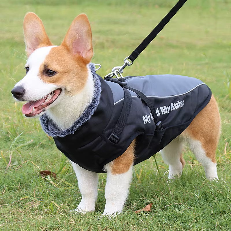 CloudTail™ | Warme Hondenjas met Reflectie
