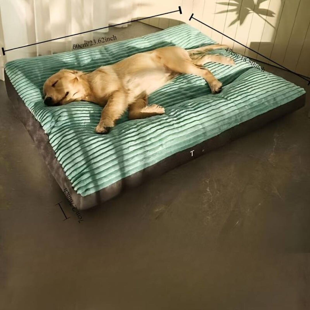 FluffyNest™ | Het Hele Jaar Comfortabel