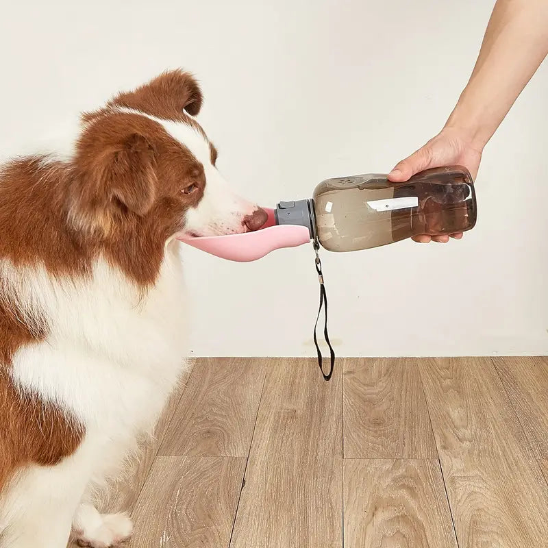 QuikSip™ | Altijd Vers Water voor je Hond