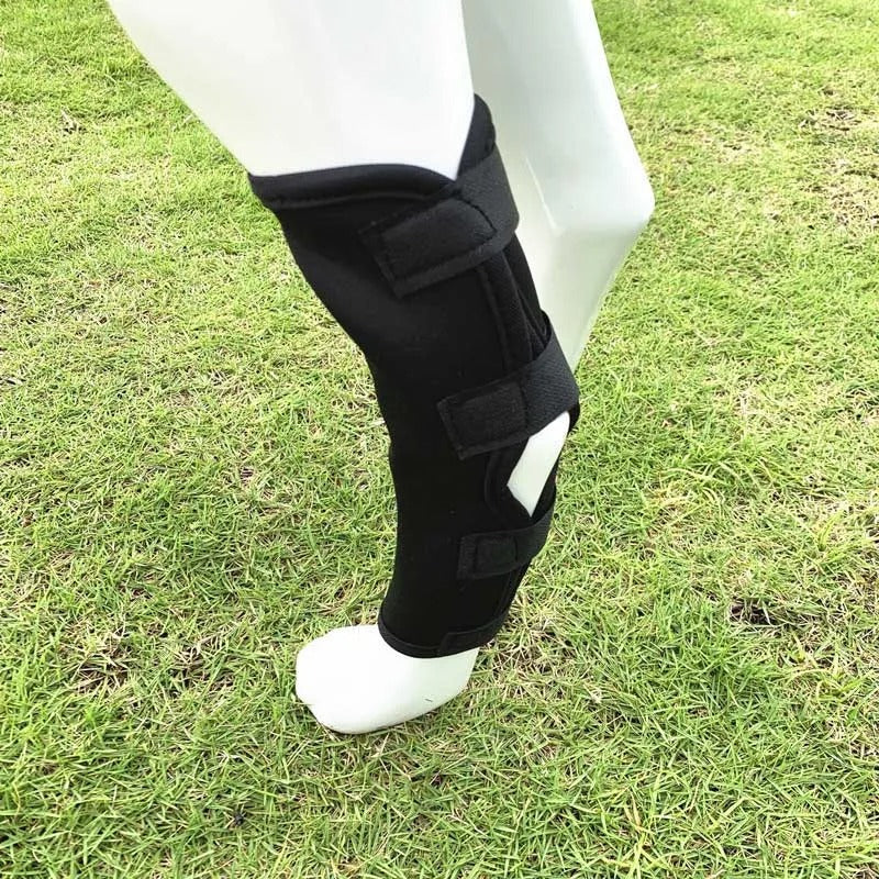 ActivePaw™ | Kniebrace voor veilige en pijnvrije beweging