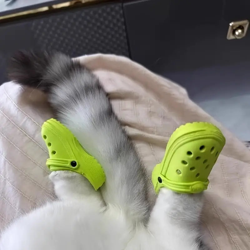 Pawlet™ | Nooit meer wondjes en scheurtjes
