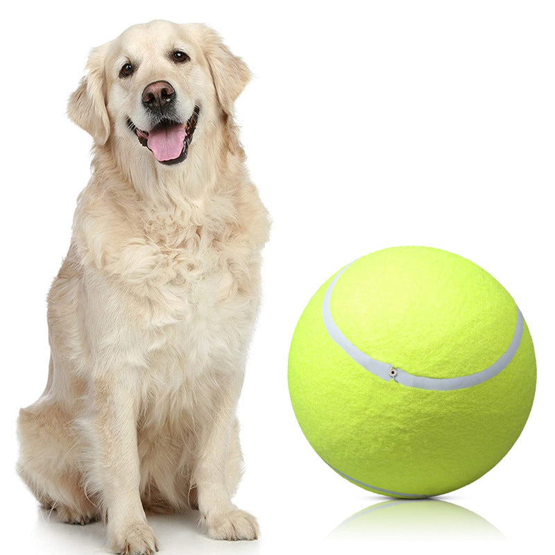 BarkBounce™ | Avontuurlijk Speelplezier