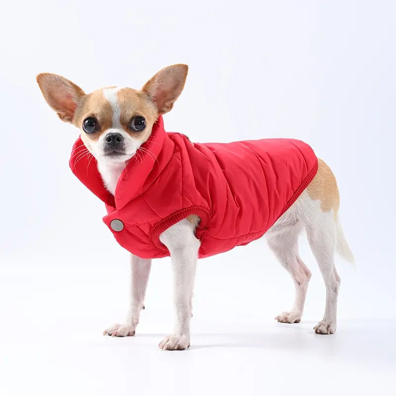 PawCoat™ | Waterdichte hondenjas