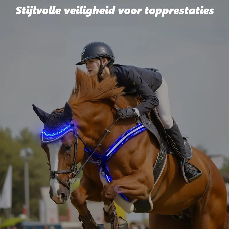 LumaRide™ | Veilige LED-verlichte hoofdriem voor paarden