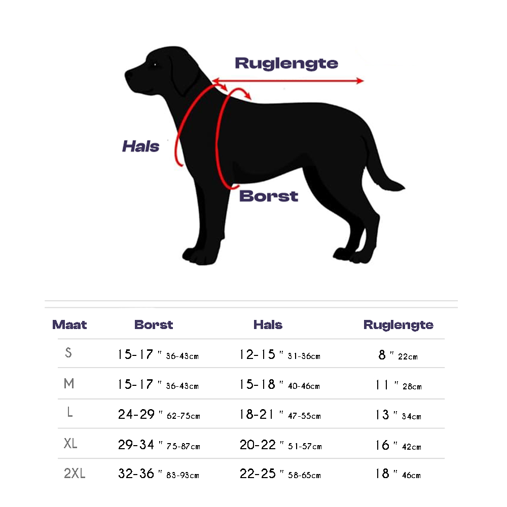 PawReflect™ | Nooit Meer Zorgen over je Hond Kwijtraken