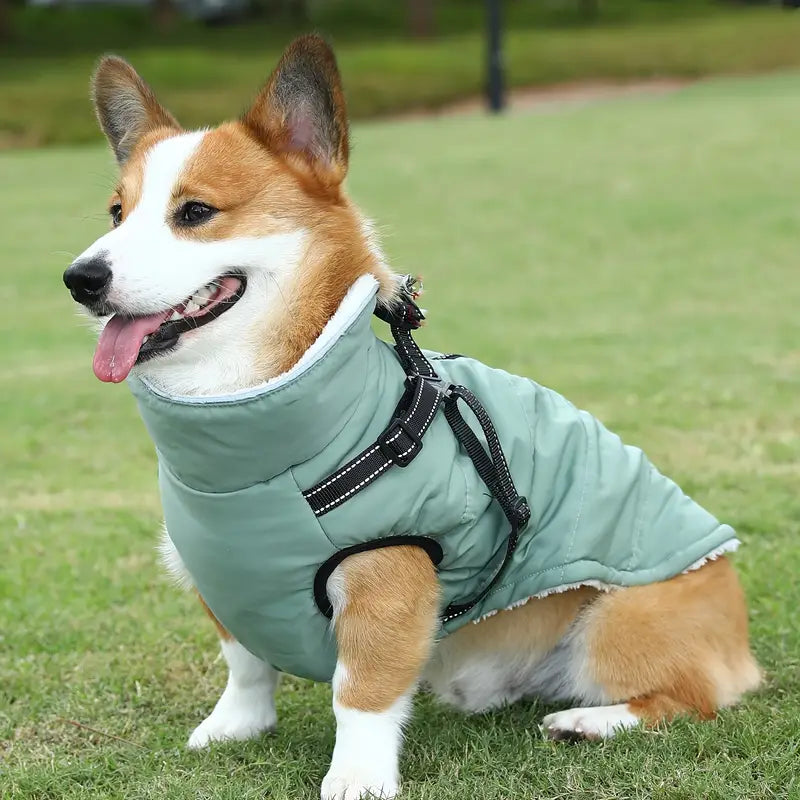 Barkie™ | Nooit meer koude wandelingen