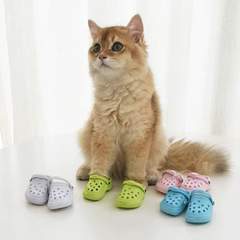 Pawlet™ | Nooit meer wondjes en scheurtjes