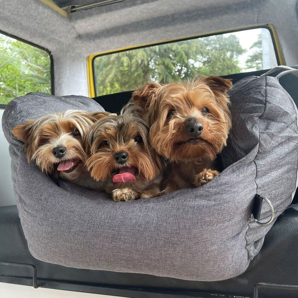 PetPillow™ | Zacht en ondersteunend
