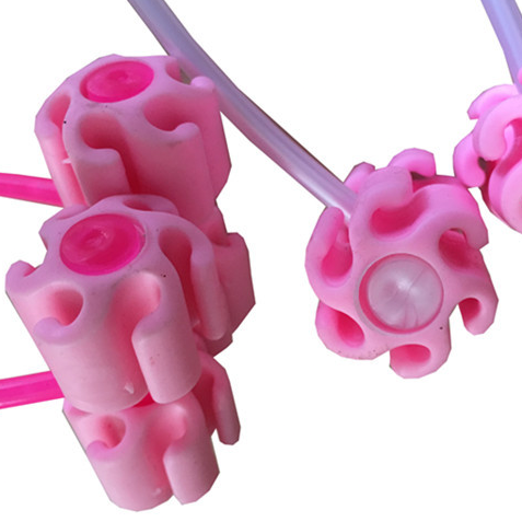 RelaxoPet™ | Verlicht stress, verbeter de band