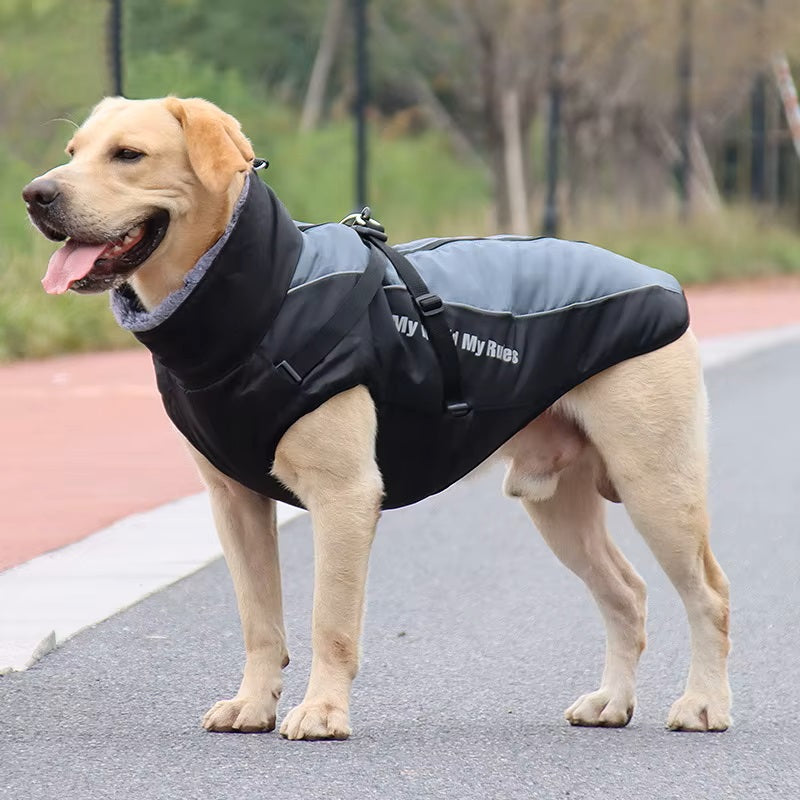 CloudTail™ | Warme Hondenjas met Reflectie
