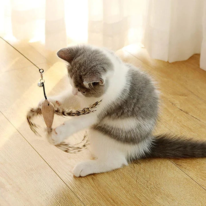 CatCatch™ | Houd je Kat Actief en je Meubels Heel