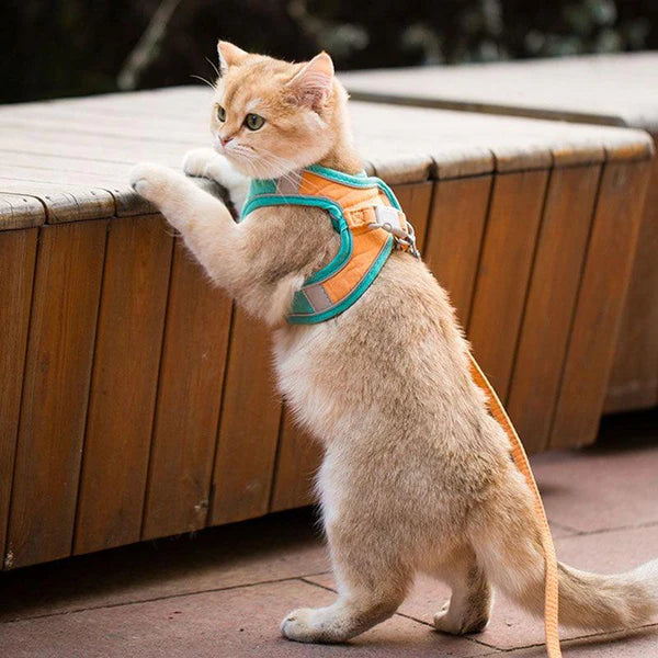 MeowStep™ | Kattenharnas