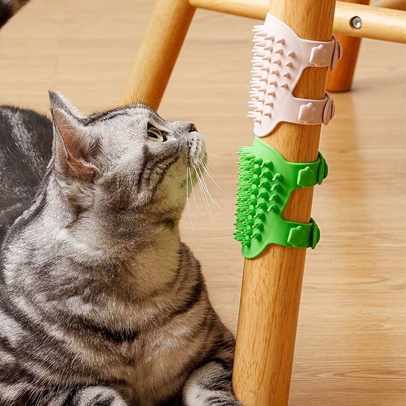 BlissPaw™ | Een zachte verwennerij voor je kat