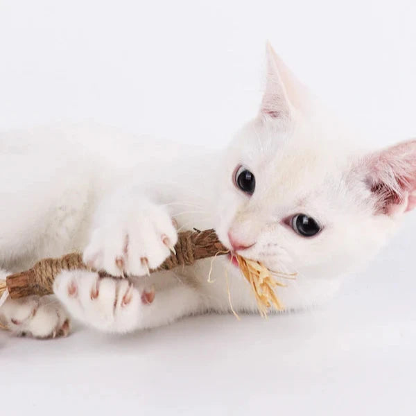 KittyBliss™ | Voor gezonde nagels zonder knippen