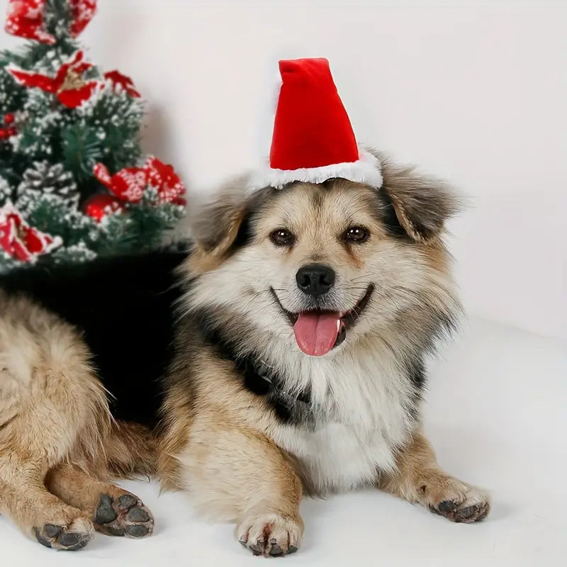 SantaPaws™ | Zachte Kerstmuts voor Warme Kerstmomenten