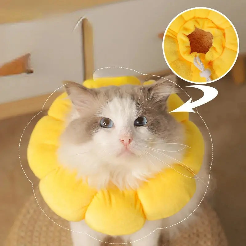 PawBloom™ | Versnel Herstel en Bescherm Tegen Vlooien