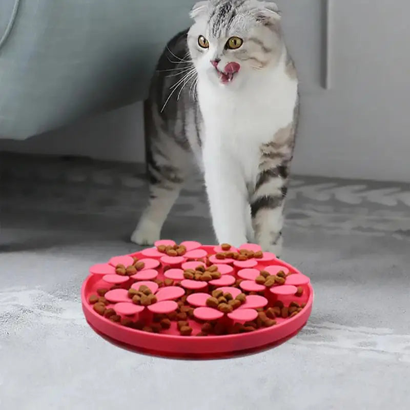 SavorPet™ | Plezier bij elke Maaltijd