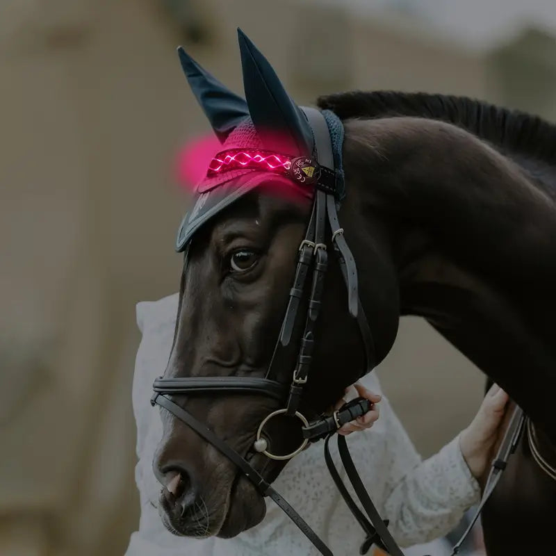LumaRide™ | Veilige LED-verlichte hoofdriem voor paarden