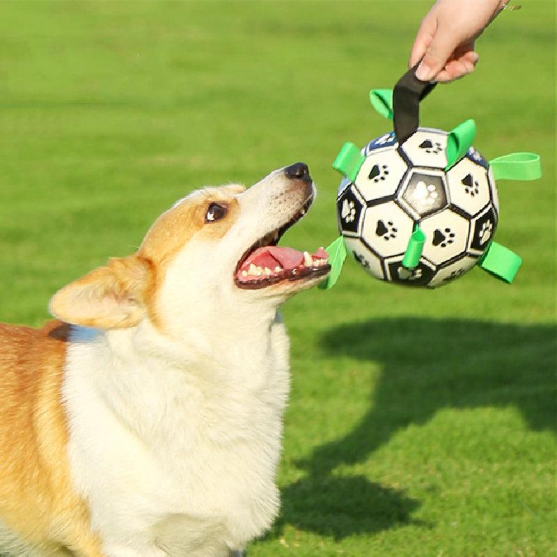FlapFetch™ | Maakt Honden Blij en Actief