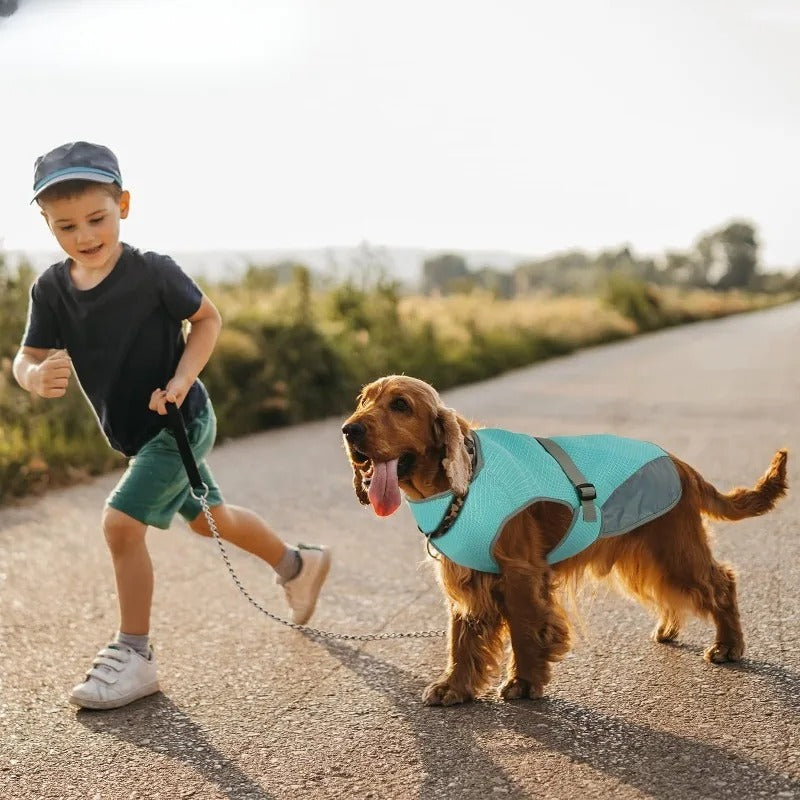 CoolBarker™ | Bescherm je Hond Tegen Hitte