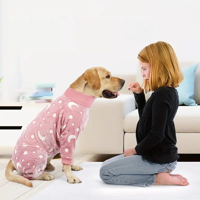 PawJam™ | Geen koude, bibberende honden
