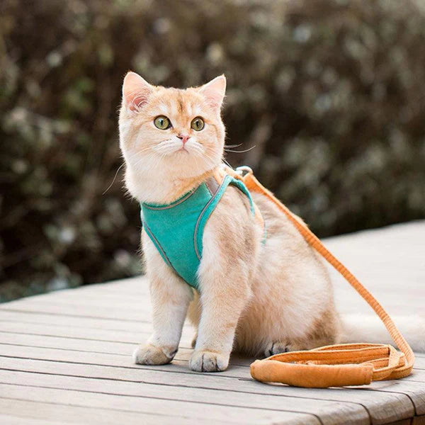 MeowStep™ | Kattenharnas