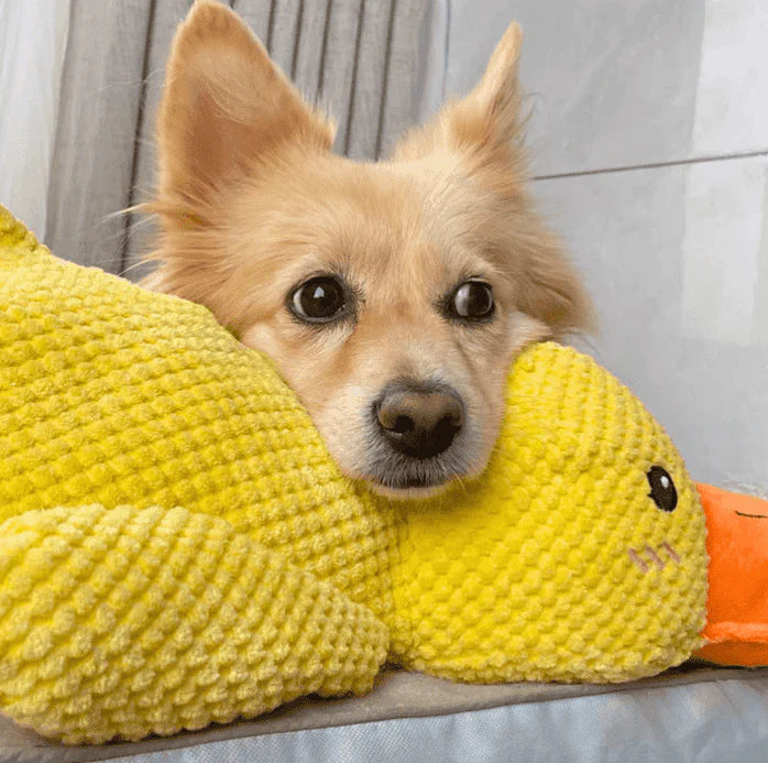 DuckyDazzle™ | Voorkom Verveling en Angst bij Alleen Thuis