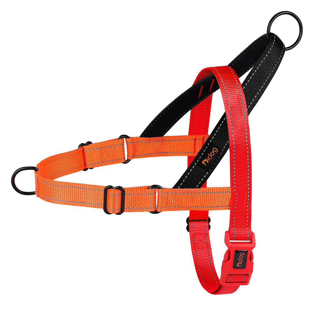 LumaPaw™ | Voor Stressvrije Wandelingen en Volledige Controle