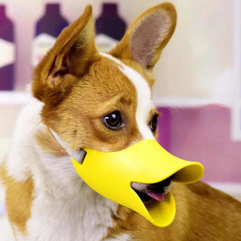 QuackSafe™ | Muilkorf met Verstelbare Riemen