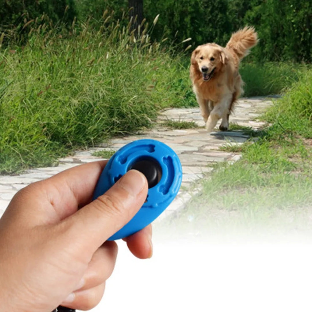 Clickzy™ | Heldere Klik, Snelle Training!