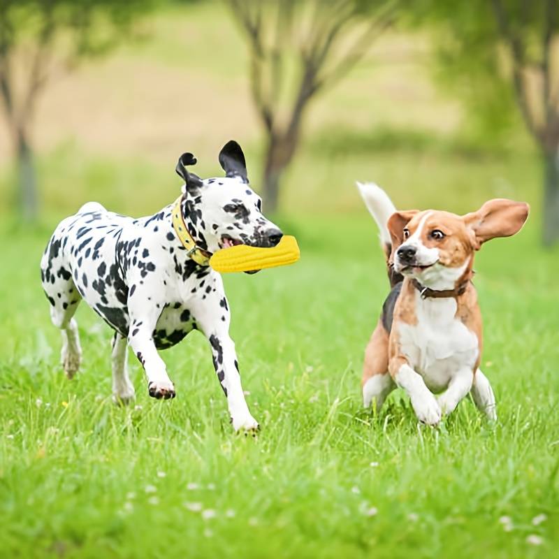 CornCraze™ | Maïsvormig kauwspeeltje voor honden