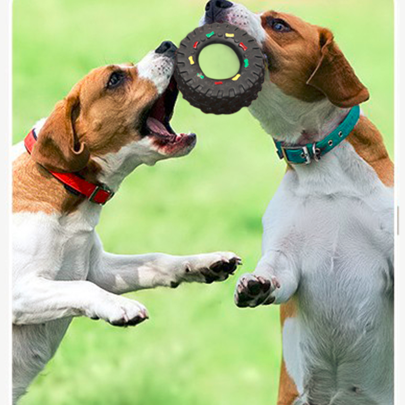 PupWheel™ | Krachtige Speelwiel Bal