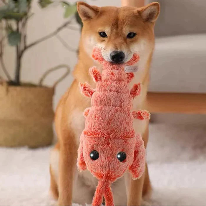 PawLobster™ | Voorkom verveling en houd je hond gelukkig