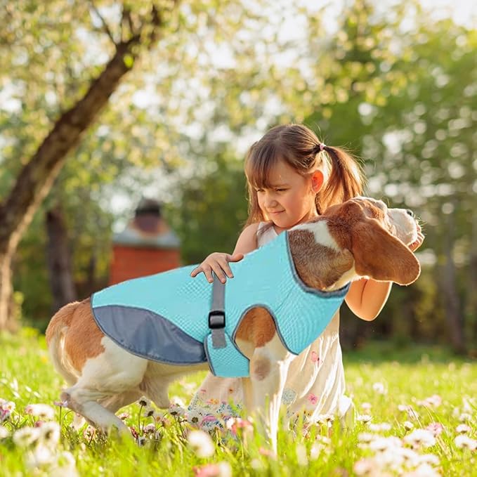CoolBarker™ | Bescherm je Hond Tegen Hitte