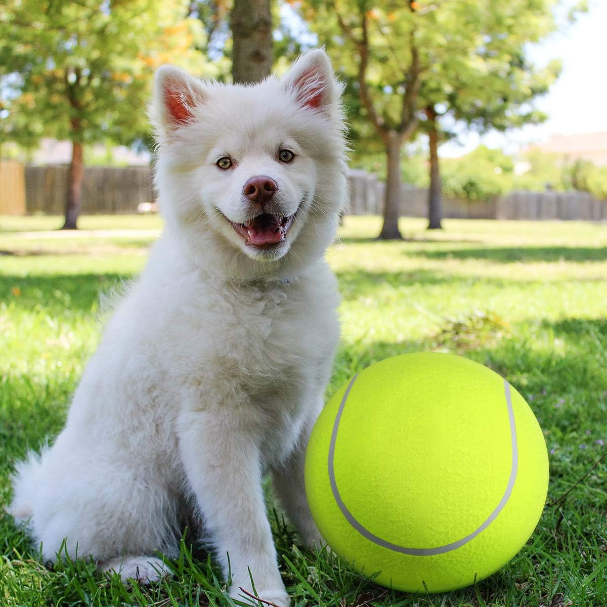 BarkBounce™ | Avontuurlijk Speelplezier