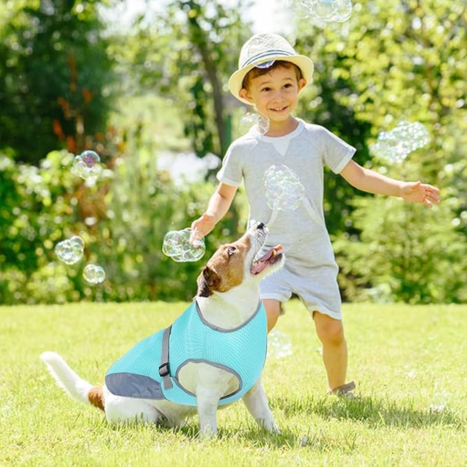 CoolBarker™ | Bescherm je Hond Tegen Hitte