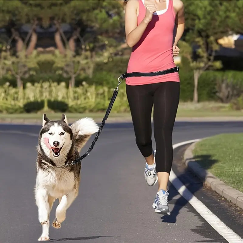 PawStrap™ | Hondenriem met veilige grip en schokdemping