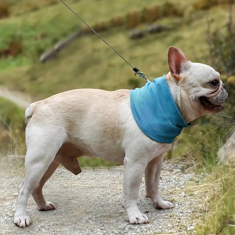 FreshFurr™ | Veilige Verkoeling Halsband