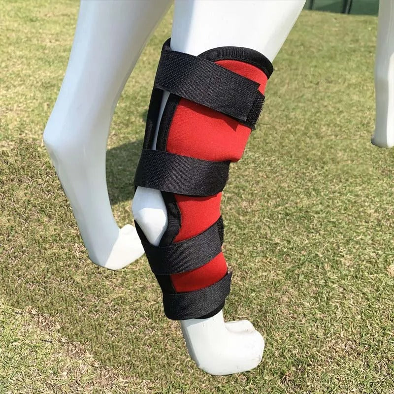 ActivePaw™ | Kniebrace voor veilige en pijnvrije beweging