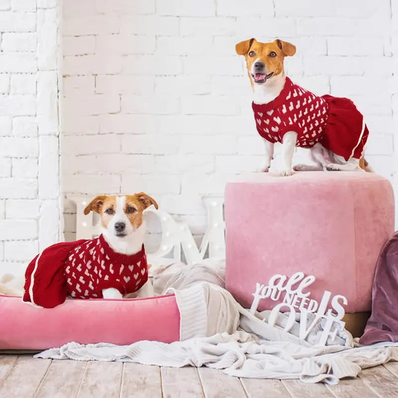 LuvPup™ | Warme Valentijnsjurk Tegen Kou en Stress
