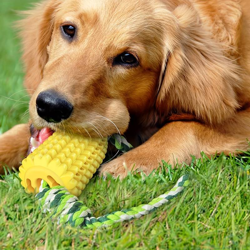 CornCraze™ | Maïsvormig kauwspeeltje voor honden