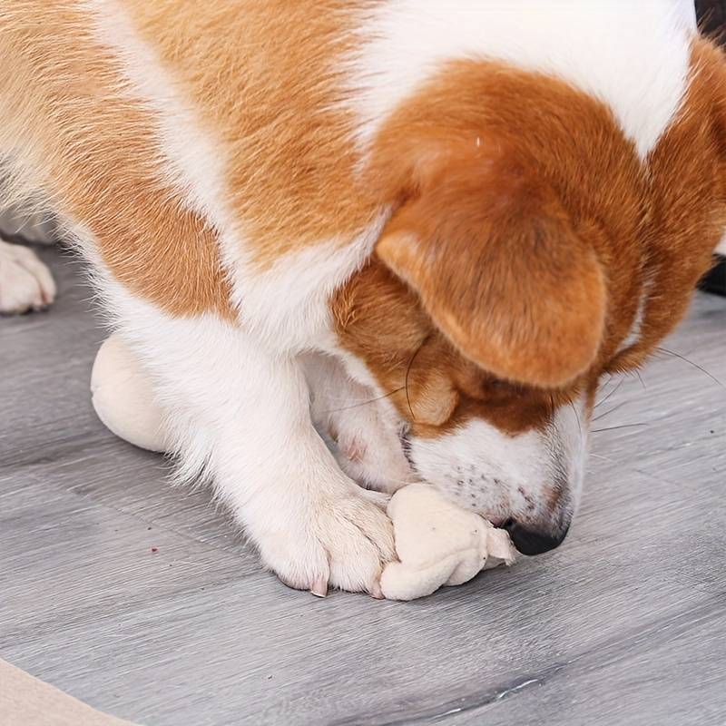 PuzzlPets™ | Slim Spel voor IQ Training