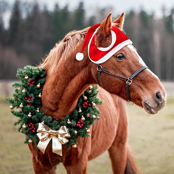 MerryPony™ | Warme kerstmuts om je paard te laten stralen