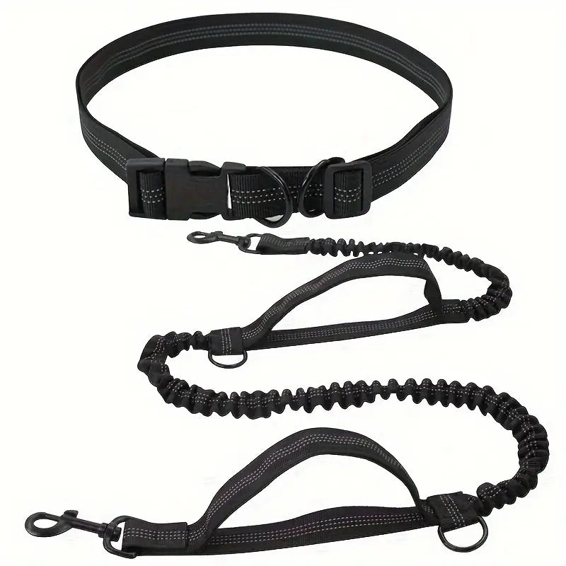PawStrap™ | Hondenriem met veilige grip en schokdemping