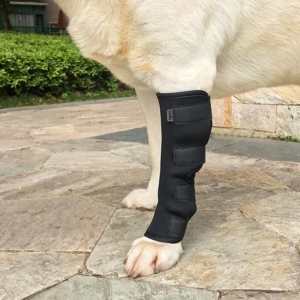 ActivePaw™ | Kniebrace voor veilige en pijnvrije beweging