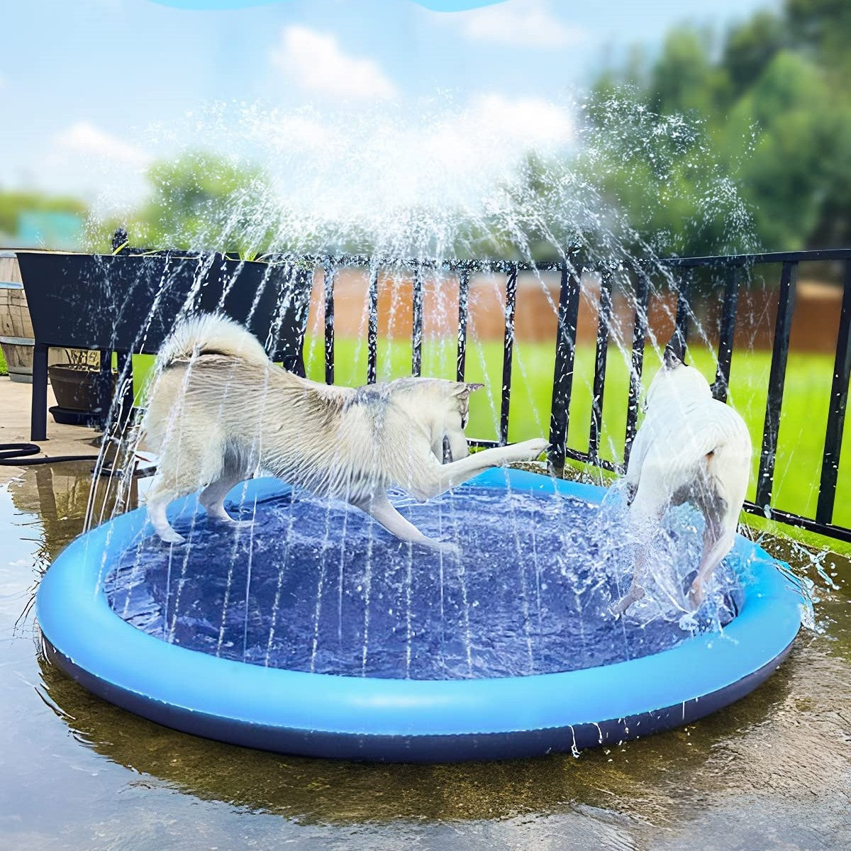 AquaBuddy™ | Jouw achtertuin waterparadijs!