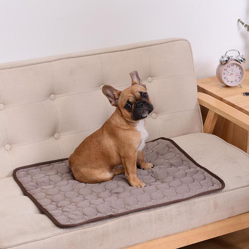 IcyWoof™ | De Beste Zomeroplossing